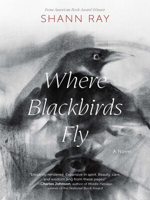 cover image of Where Blackbirds Fly